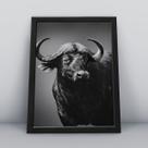 Quadro com moldura Animal Animal-03-M1 Quadro com moldura Animal Animal-03-M1