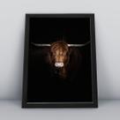 Quadro com moldura Animal Animal-09-M1 Quadro com moldura Animal Animal-09-M1