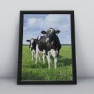 Quadro com moldura Animal Animal-14-M1