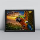 Quadro com moldura Arara Arara-13-M1 Quadro com moldura Arara Arara-13-M1