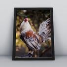 Quadro com moldura Ave Ave-04-M1