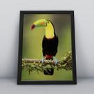 Quadro com moldura Ave Ave-08-M1