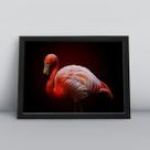 Quadro com moldura Ave Ave-19-M1 Quadro com moldura Ave Ave-19-M1