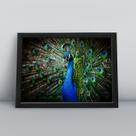 Quadro com moldura Ave Ave-22-M1 Quadro com moldura Ave Ave-22-M1