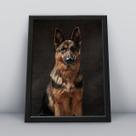 Quadro com moldura Cachorro Cachorro-009-M1 Quadro com moldura Cachorro Cachorro-009-M1
