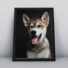 Quadro com moldura Cachorro Cachorro-011-M1 Quadro com moldura Cachorro Cachorro-011-M1