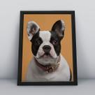 Quadro com moldura Cachorro Cachorro-026-M1