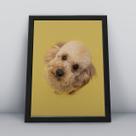 Quadro com moldura Cachorro Cachorro-040-M1