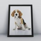 Quadro com moldura Cachorro Cachorro-045-M1 Quadro com moldura Cachorro Cachorro-045-M1