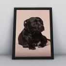 Quadro com moldura Cachorro Cachorro-053-M1 Quadro com moldura Cachorro Cachorro-053-M1