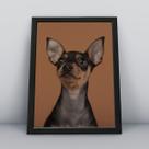 Quadro com moldura Cachorro Cachorro-100-M1