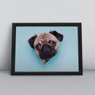 Quadro com moldura Cachorro Cachorro-180-M1 Quadro com moldura Cachorro Cachorro-180-M1