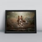 Quadro com moldura Cachorro Cachorro-196-M1