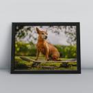 Quadro com moldura Cachorro Cachorro-202-M1
