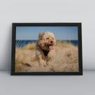 Quadro com moldura Cachorro Cachorro-218-M1