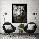 Quadro Com Moldura Decorativo Grande Alta Resolução Para Sala Quarto Escritório Tigre Branco