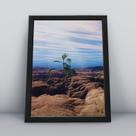 Quadro com moldura Deserto 17