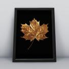Quadro com moldura face mulher dourada chapeu Quadro com moldura face mulher dourada chapeu