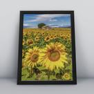 Quadro com moldura Primavera 06