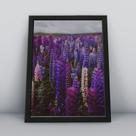 Quadro com moldura Primavera 15 Quadro com moldura Primavera 15