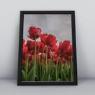 Quadro com moldura Primavera 16