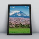 Quadro com moldura Primavera 26
