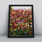 Quadro com moldura Primavera 27
