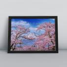 Quadro com moldura Primavera 35