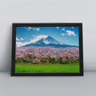Quadro com moldura Primavera 53