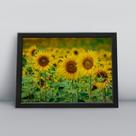 Quadro com moldura Primavera 54