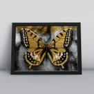 Quadro com molduraborboleta dourada