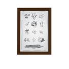 Quadro Cozinha Tipos Massas Italianas Moldura Marrom 33x43cm Quadro Cozinha Tipos Massas Italianas Moldura Marrom 33x43cm