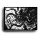 Quadro Cthulhu, personagem de HP Lovecraft com Moldura E Acetato Tamanho A3