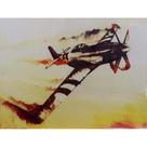 Quadro de Madeira Médio (42cmX30cm) Avião/Monomotor/Esquadrilha da fumaça/Fotofrafia