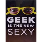 Quadro de Madeira Médio (42cmX30cm) Geek is the New Sexy/Ilustração