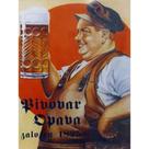 Quadro de Madeira Médio (42cmX30cm) Mestre Cervejeiro/Copão de Chopp/Bebida/