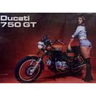 Quadro de Madeira Médio (42cmX30cm) Moto Ducati 750 GT/Motorcycle/Modelo Morena/Clássico