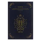 Quadro De Signo Quadro Zodíaco Signos Com Mensagem