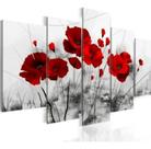 Quadro Decorativo 5 Pçs Sala Quarto Flor Papoula Vermelha Quadro Decorativo 5 Pçs Sala Quarto Flor Papoula Vermelha