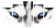 quadro decorativo 5 telas Lobo Olho Azul "