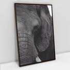Quadro Decorativo A Face do Elefante em tela Canvas Quadro Decorativo A Face do Elefante em tela Canvas