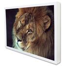 Quadro Decorativo A Face do Leão em Moldura Caixa Quadro Decorativo A Face do Leão em Moldura Caixa