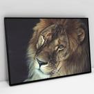 Quadro Decorativo A Face do Leão em tela Canvas Quadro Decorativo A Face do Leão em tela Canvas