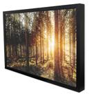Quadro Decorativo A Natureza na Luz do Sol em Moldura Caixa Quadro Decorativo A Natureza na Luz do Sol em Moldura Caixa