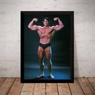 Quadro Decorativo Academia Arnold Schwarzenegger Cenario Quadro Decorativo Academia Arnold Schwarzenegger Cenario
