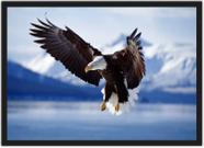 Quadro Decorativo Animais Ave Águia Com Moldura Salas Decorações Interiores Quadro Decorativo Animais Ave Águia Com Moldura Salas Decorações Interiores