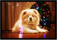 Quadro Decorativo Animais Cachorro Chow Chow Veterinário Pet Shop Natureza Com Moldura RC144