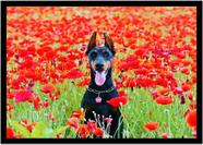 Quadro Decorativo Animais Cachorro Doberman Pinscher Flores Veterinário Pet Shop Com Moldura RC125