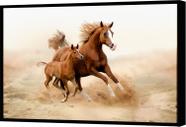 Quadro Decorativo Animais Cavalos Cavalo Canvas Moldura Filete