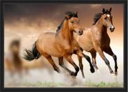 Quadro Decorativo Animais Cavalos Petshop Decoração Com Moldura